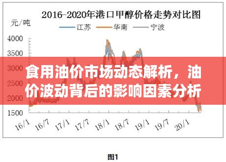 食用油价市场动态解析，油价波动背后的影响因素分析