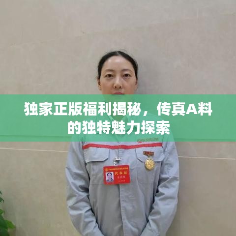 独家正版福利揭秘，传真A料的独特魅力探索