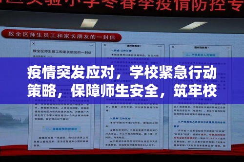 疫情突发应对，学校紧急行动策略，保障师生安全，筑牢校园防线