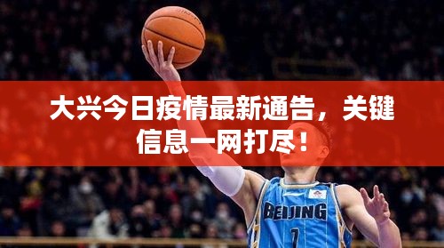 大兴今日疫情最新通告，关键信息一网打尽！