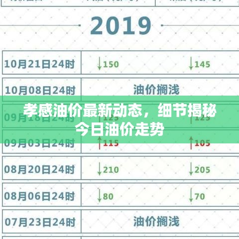 孝感油价最新动态，细节揭秘今日油价走势
