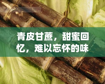 青皮甘蔗，甜蜜回忆，难以忘怀的味道
