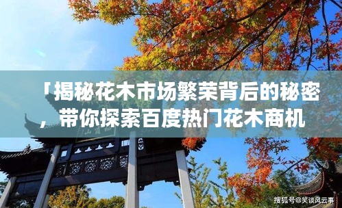 朝飞暮卷 第2页