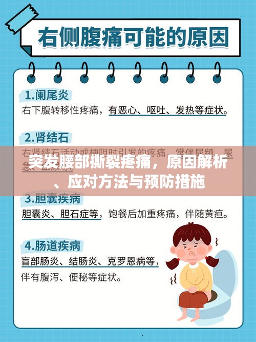 突发腰部撕裂疼痛，原因解析、应对方法与预防措施