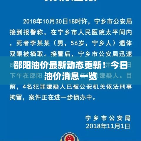 邵阳油价最新动态更新！今日油价消息一览