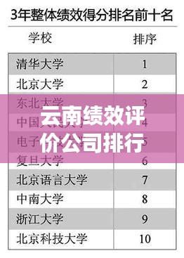 云南绩效评价公司排行榜及影响力深度解析