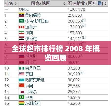 全球超市排行榜 2008 年概览回顾