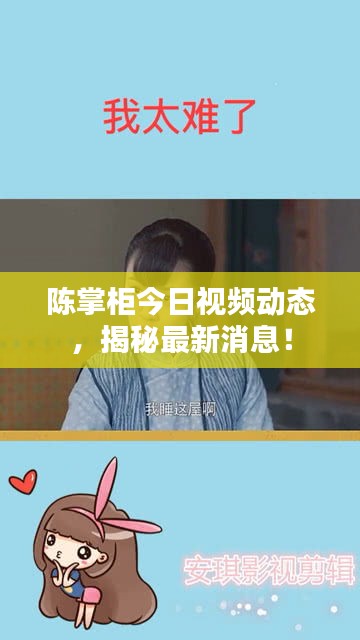 陈掌柜今日视频动态，揭秘最新消息！