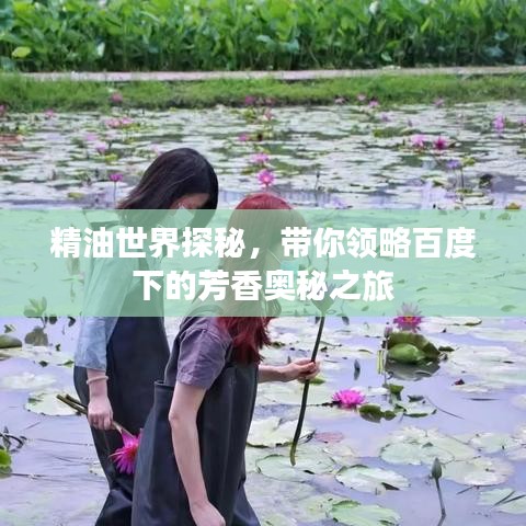 精油世界探秘，带你领略百度下的芳香奥秘之旅