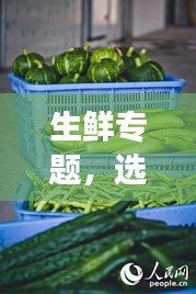 生鲜专题，选购、保存与烹饪新鲜食材的秘诀！