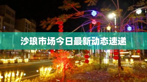 沙琅市场今日最新动态速递