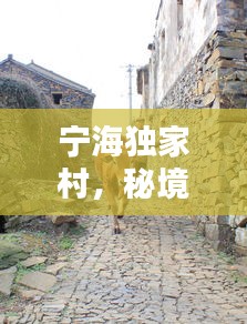 无独有偶