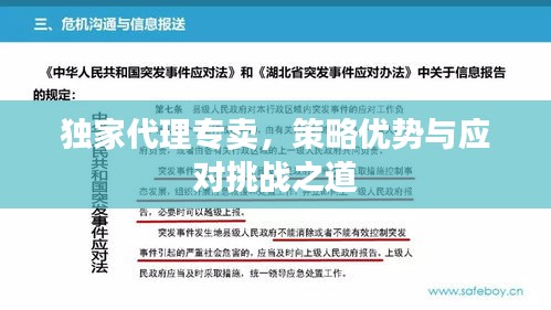 独家代理专卖，策略优势与应对挑战之道