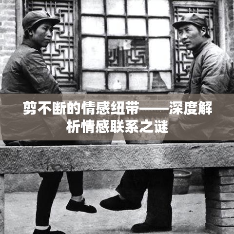 剪不断的情感纽带——深度解析情感联系之谜