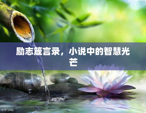 励志箴言录，小说中的智慧光芒