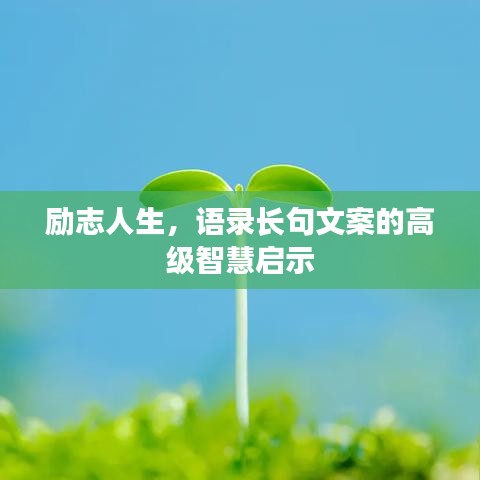 励志人生，语录长句文案的高级智慧启示