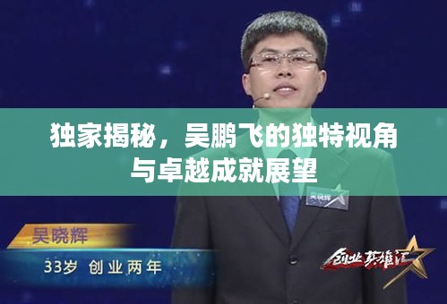 独家揭秘，吴鹏飞的独特视角与卓越成就展望