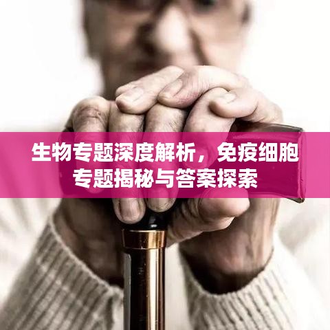 生物专题深度解析，免疫细胞专题揭秘与答案探索