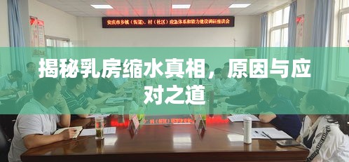 揭秘乳房缩水真相，原因与应对之道