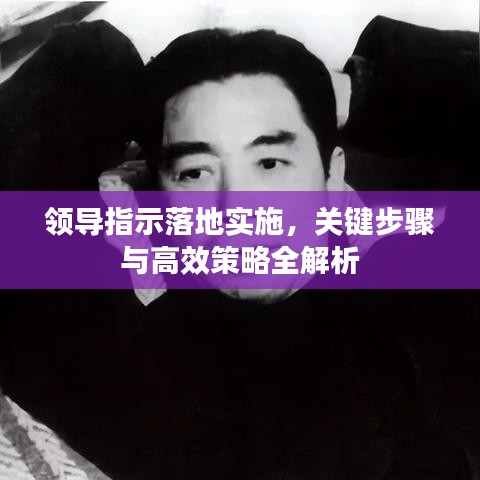 领导指示落地实施，关键步骤与高效策略全解析