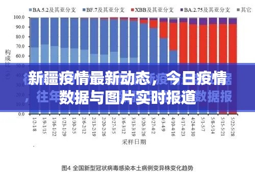 新疆疫情最新动态，今日疫情数据与图片实时报道