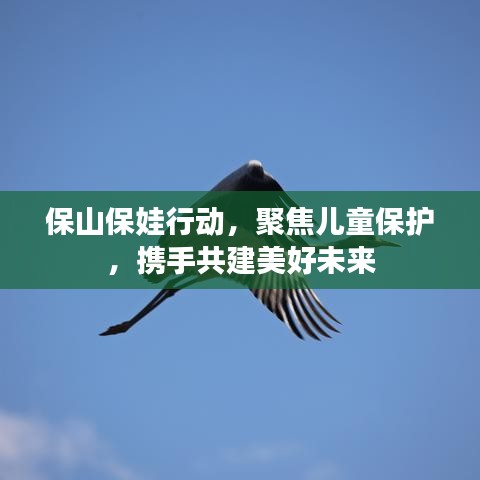 保山保娃行动，聚焦儿童保护，携手共建美好未来