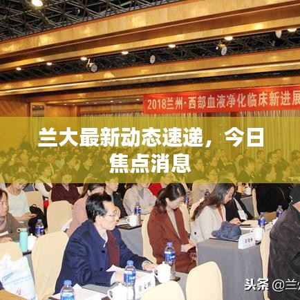 兰大最新动态速递，今日焦点消息