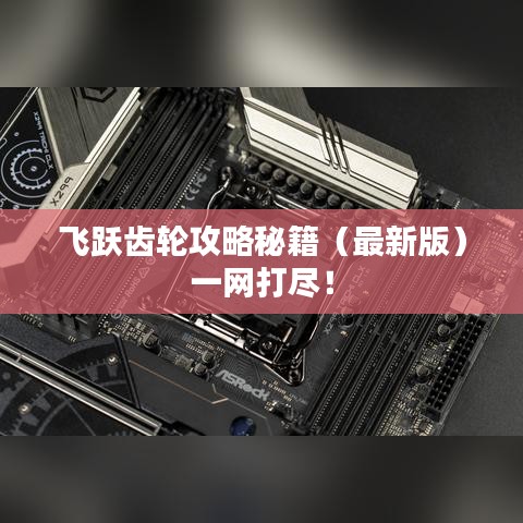 飞跃齿轮攻略秘籍（最新版）一网打尽！