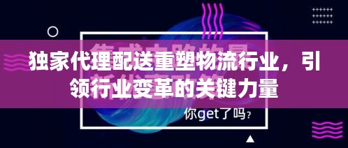 独家代理配送重塑物流行业，引领行业变革的关键力量