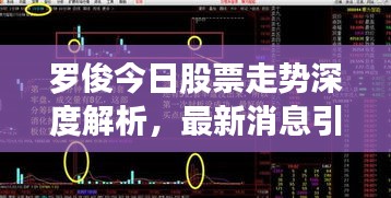罗俊今日股票走势深度解析，最新消息引领投资风向标
