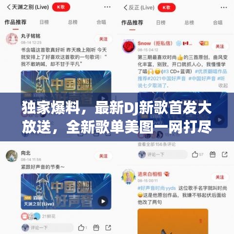 独家爆料，最新DJ新歌首发大放送，全新歌单美图一网打尽