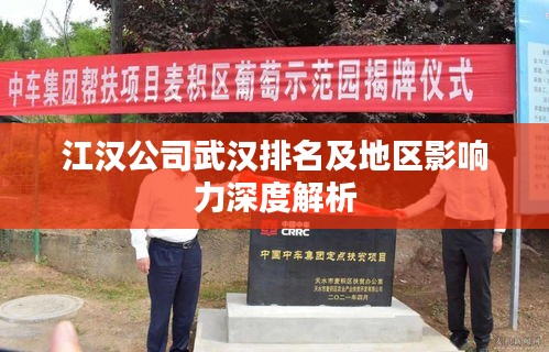 江汉公司武汉排名及地区影响力深度解析