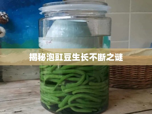 绝代佳人