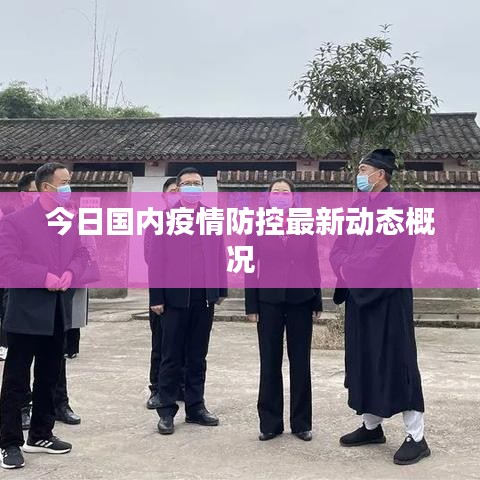 今日国内疫情防控最新动态概况