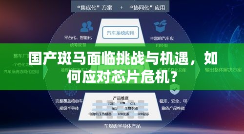 国产斑马面临挑战与机遇，如何应对芯片危机？
