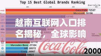越南互联网入口排名揭秘，全球影响力分析