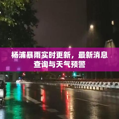 杨浦暴雨实时更新，最新消息查询与天气预警