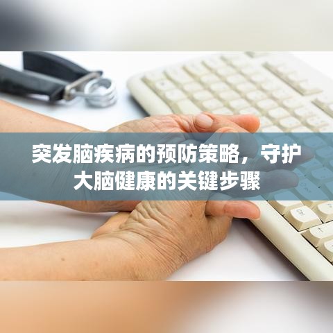 第215页