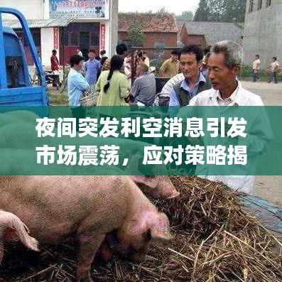 夜间突发利空消息引发市场震荡，应对策略揭秘