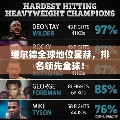 维尔德全球地位显赫，排名领先全球！