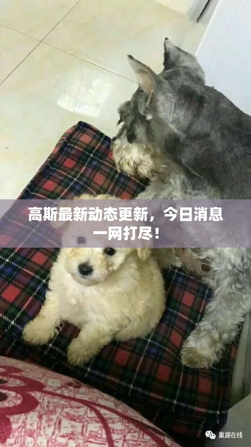 比张比李