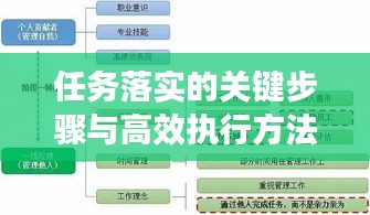任务落实的关键步骤与高效执行方法