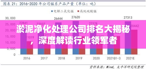 凤凰于飞