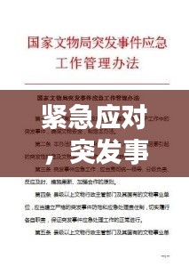 紧急应对，突发事件处理策略与应急处理指南