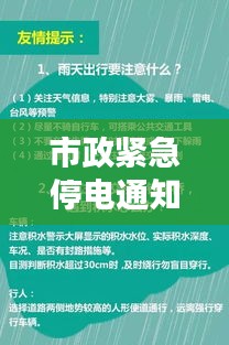 眉清目秀