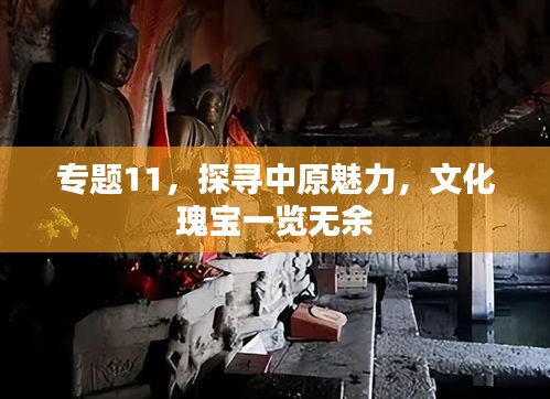 专题11，探寻中原魅力，文化瑰宝一览无余