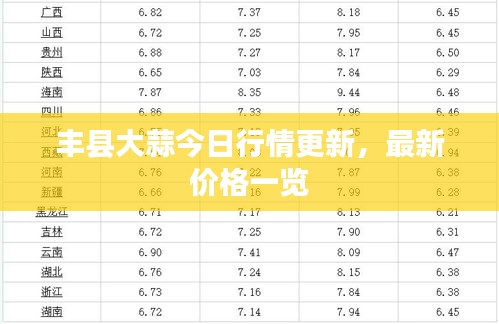 丰县大蒜今日行情更新，最新价格一览