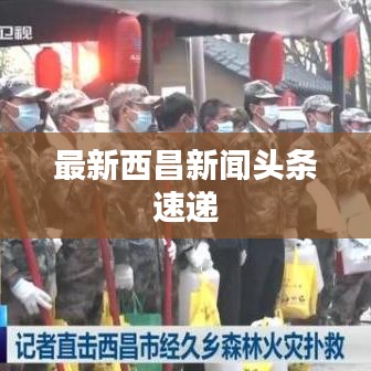 纲举目张