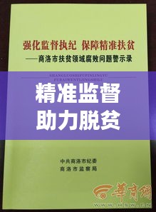 精准监督助力脱贫攻坚，纪委落实脱贫联系体系构建新篇章