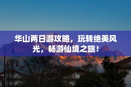 联系方式 第14页